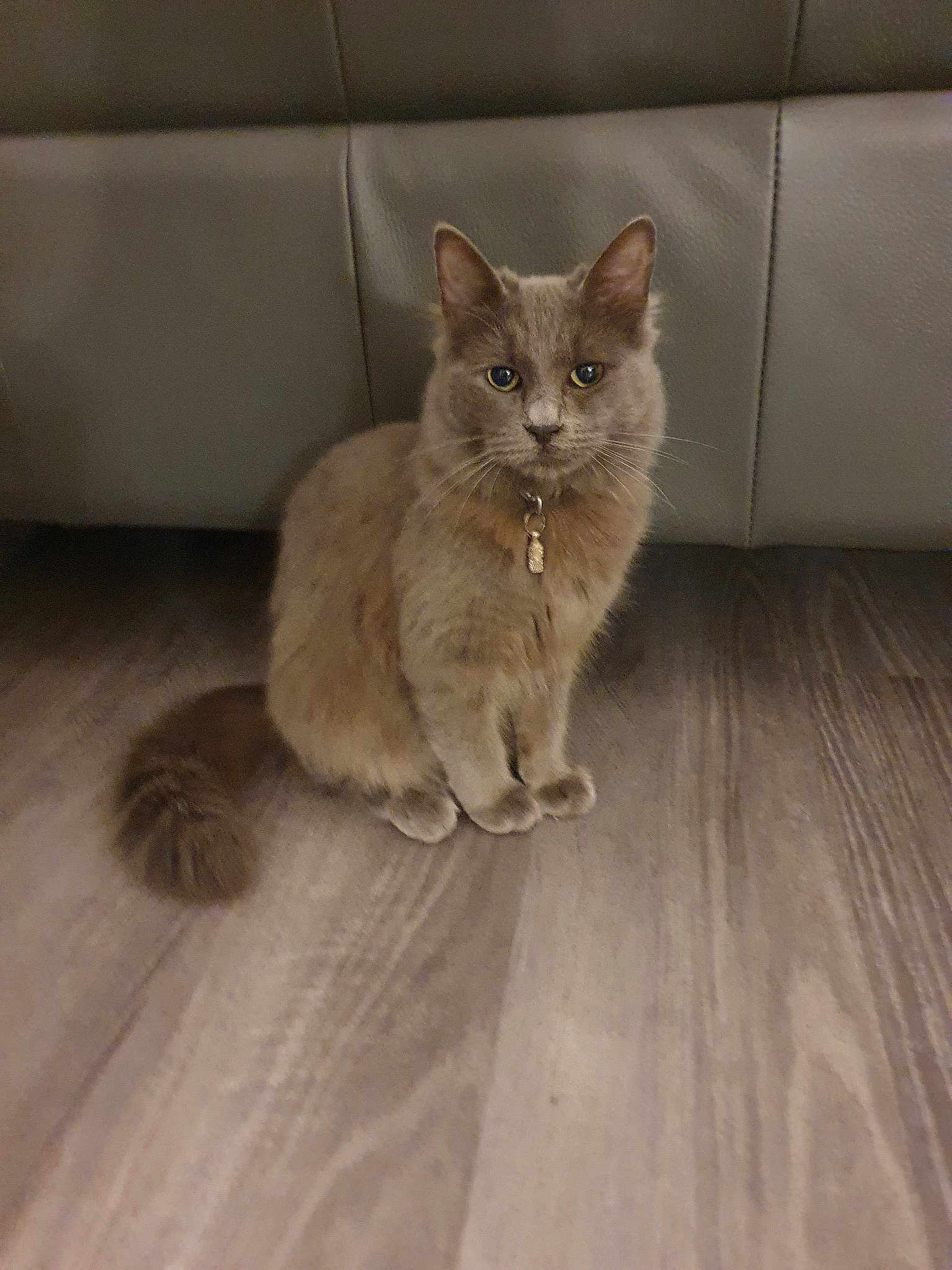 Jena