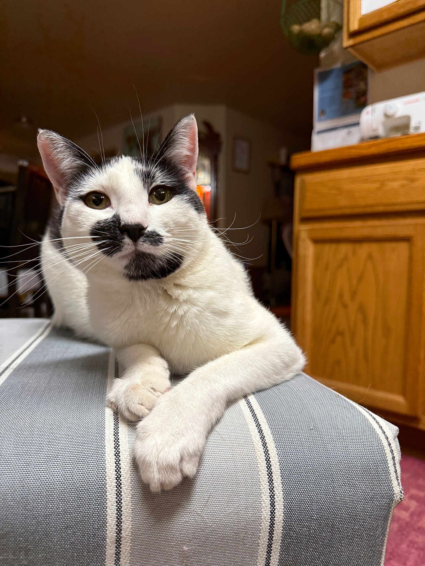 Sabrina