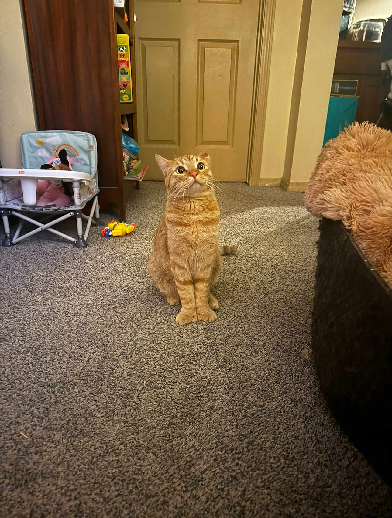 Kilo