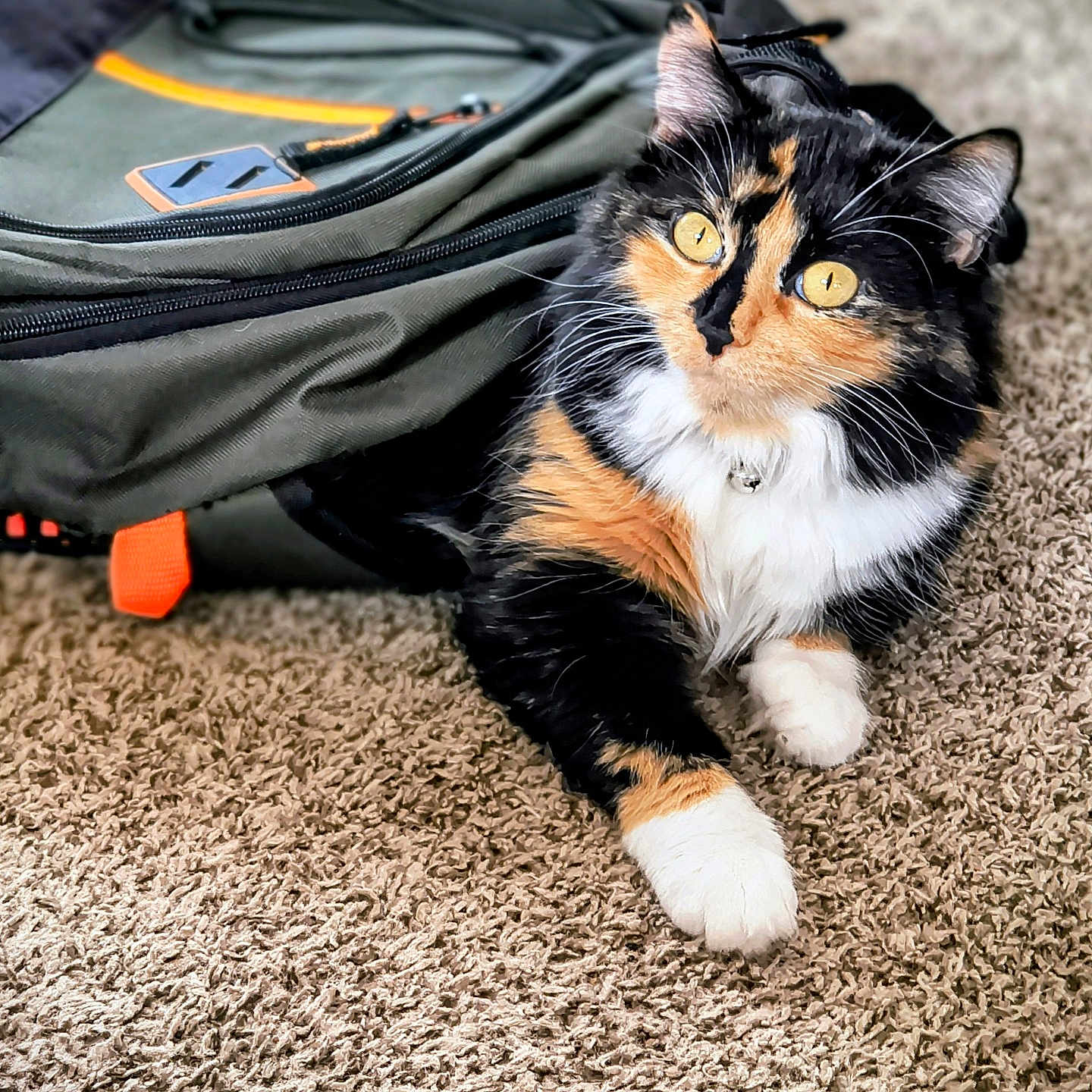 Sophia