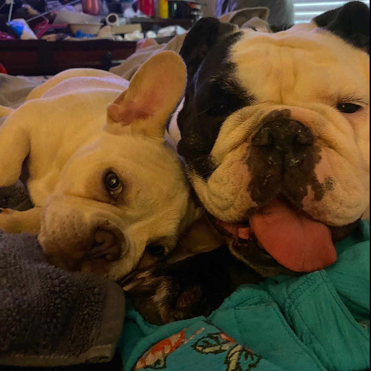 Bullet And Oreo