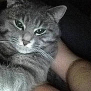 Sweety a rejoint le concours — aidez-le/la à gagner de superbes lots !