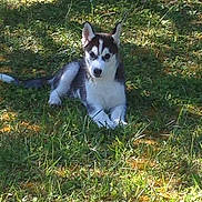 Lasko a rejoint le concours — aidez-le/la à gagner de superbes lots !