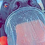 animal, black_dog, blurred_background, close_up, container, curious, cute, dog, drink, focus, hand, indoor, mouth, nose, paw, pet, plastic_cup, portrait, sniffing, texture