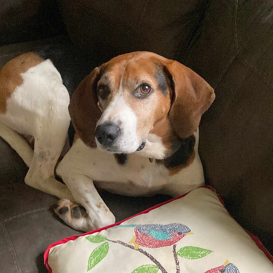 Benson