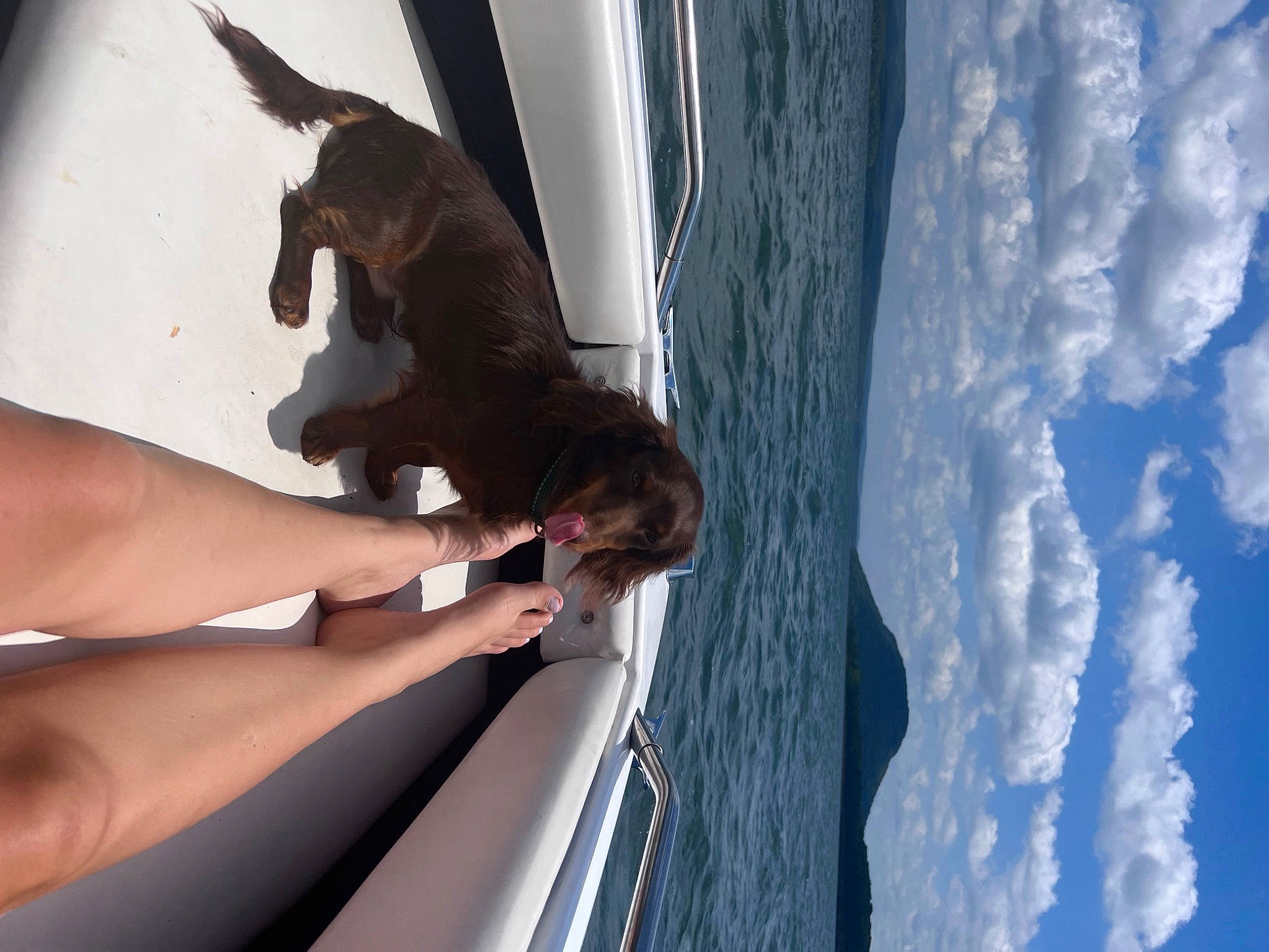 Winston joined the competition — help win amazing prizes! boat, calf, carnivore, cloud, dog, elbow, fawn, foot, fun, gesture, human_leg, knee, leg, leisure, recreation, sky, tail, thigh, water, window