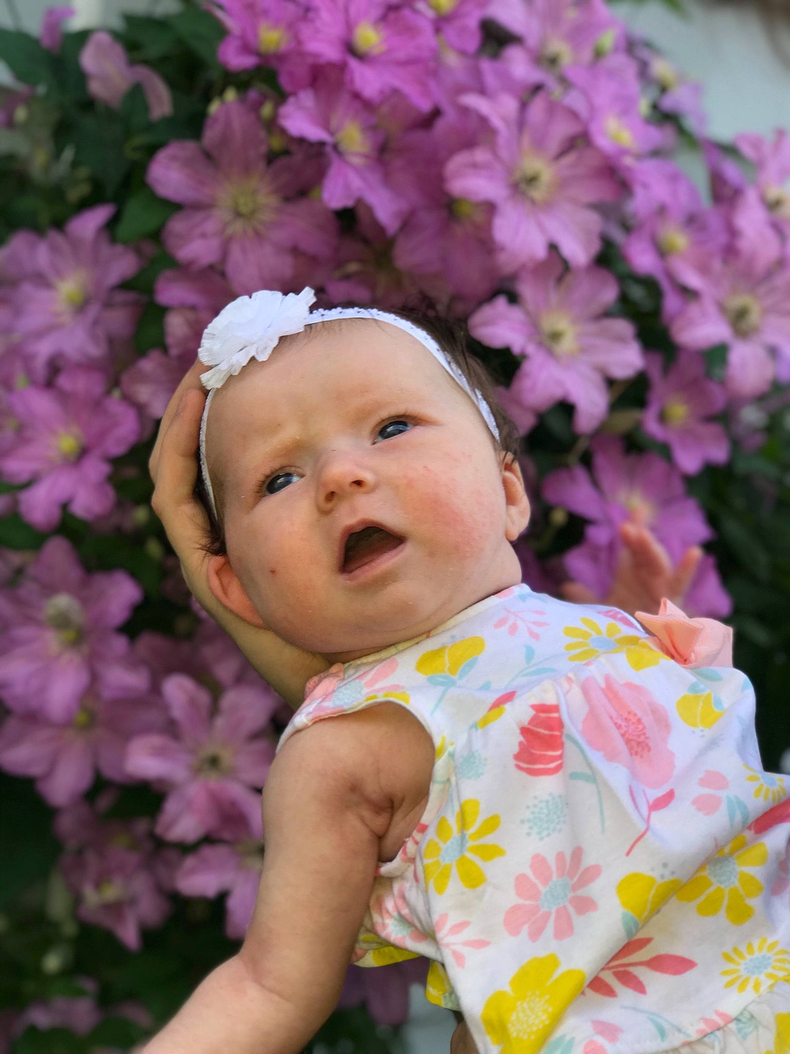 Serenity joined the competition — help win amazing prizes! baby, beauty, botany, cheek, child, eye, face, flower, headgear, lavender, lilac, person, photograph, photography, pink, plant, purple, skin, spring, toddler