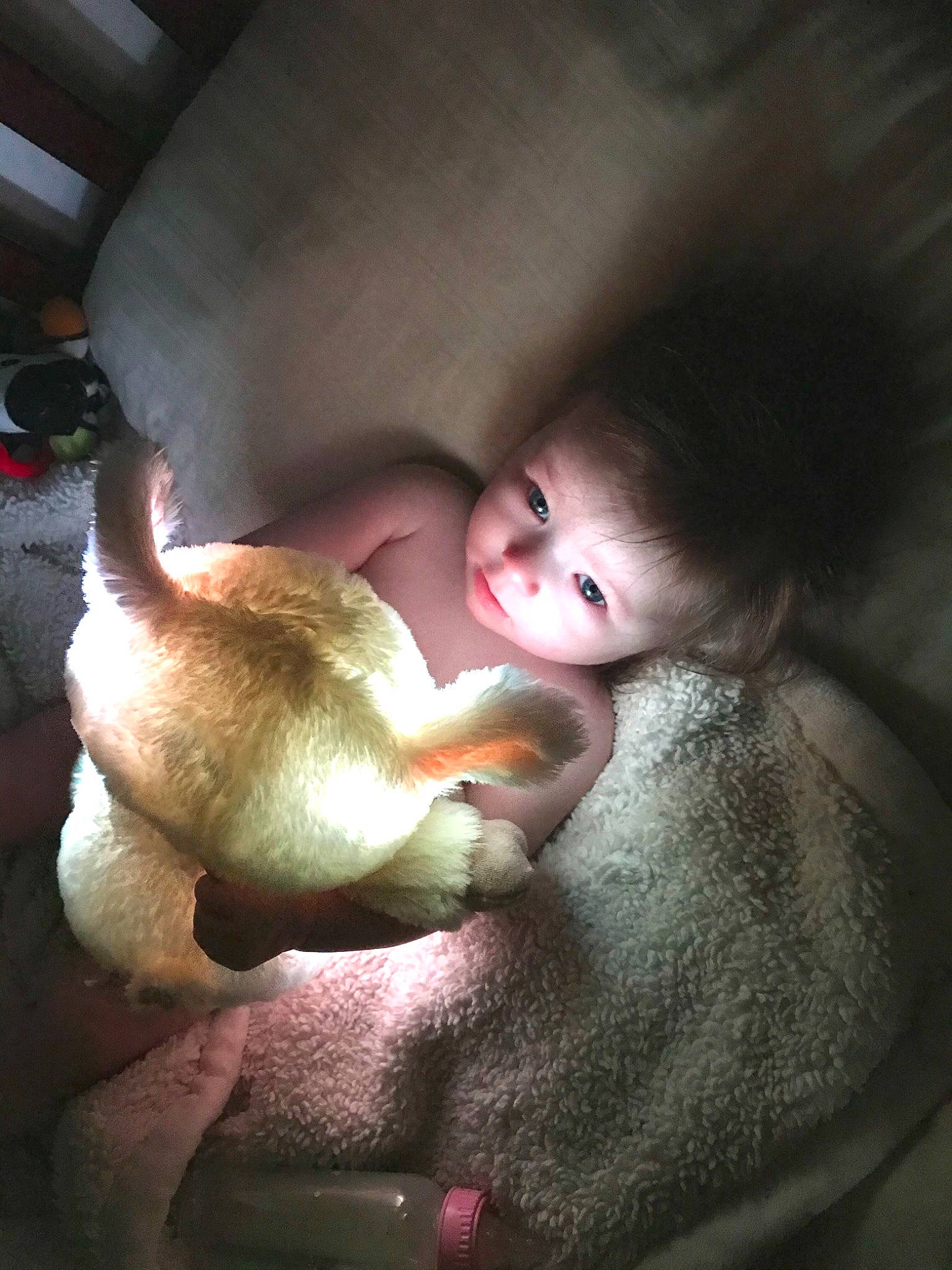 Serenity joined the competition — help win amazing prizes! baby, child, comfort, companion_dog, doll, eye, eyelash, finger, flash_photography, fur, happy, iris, lip, nail, nose, person, skin, snout, stuffed_toy, toddler