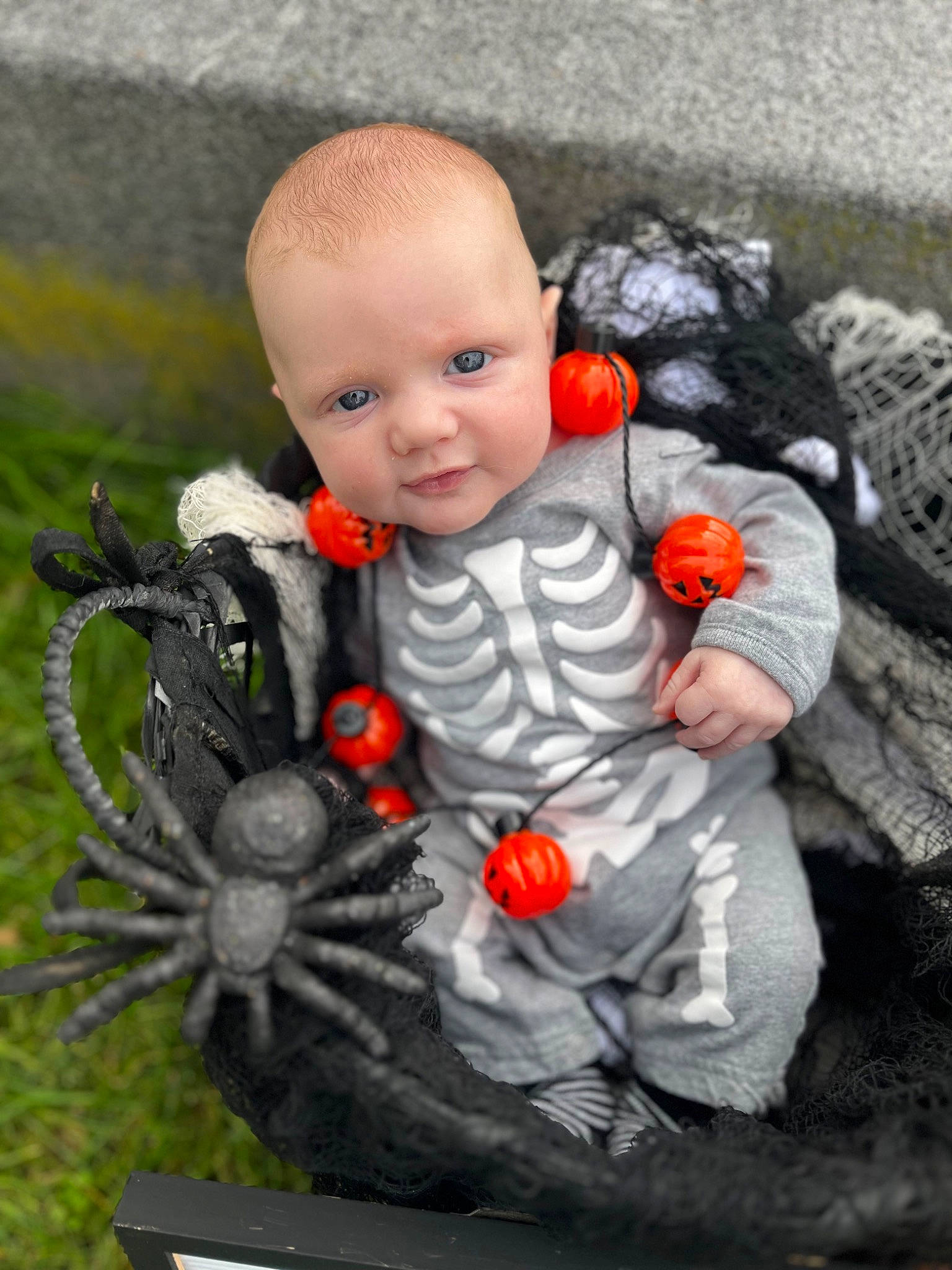 Myles joined the competition — help win amazing prizes! art, baby, baby_products, carmine, chair, child, doll, eye, fur, garden, grass, grey, happy, lawn_ornament, person, plant, rock, sitting, toddler, toy