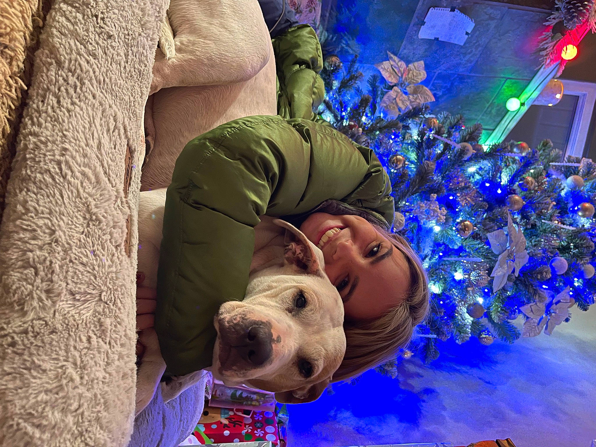 Lulu joined the competition — help win amazing prizes! christmas, christmas_decoration, christmas_eve, christmas_lights, christmas_ornament, christmas_tree, comfort, electric_blue, entertainment, event, fun, happy, holiday, leisure, ornament, room, tradition, tree, winter, wrinkle