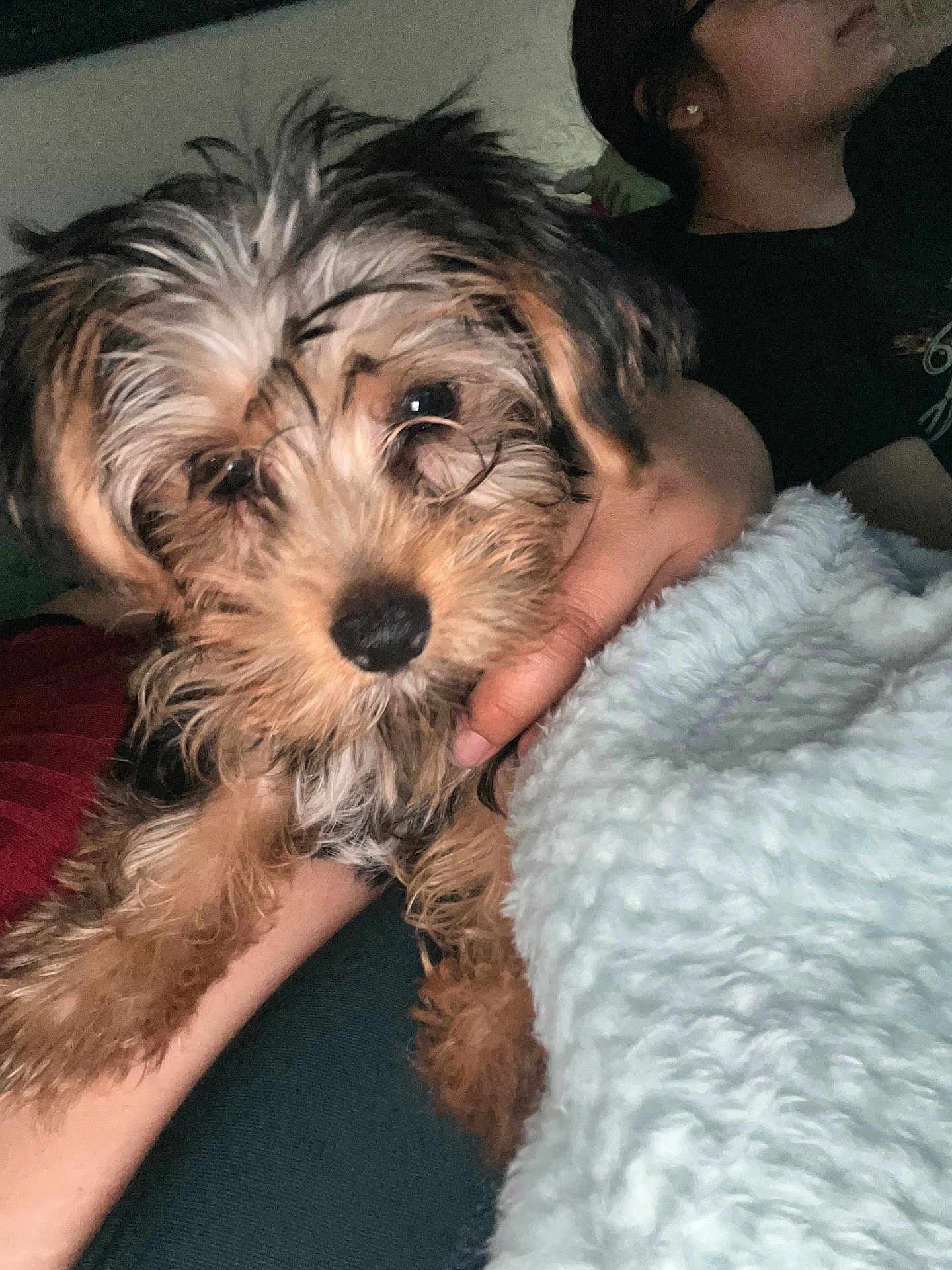 Benji