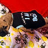Mencho joined the competition — help win amazing prizes! bed, bedding, bee_pattern, bee_print, blanket, cozy, cuddle, cute, dog, domestic_animal, fleece_blanket, paw, pet, puppy, puppy_face, red_pillow, resting, sleepy, textile, tshirt
