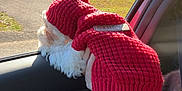 Evie is registered to the contest to win money with this photo: brick_house, car_interior, car_window, cozy, cute, daylight, dog, dog_clothing, front_lawn, hand, knit_sweater, looking_out, passenger, pet, portrait, red_sweater, small_dog, suburban_house, travel, white_fur