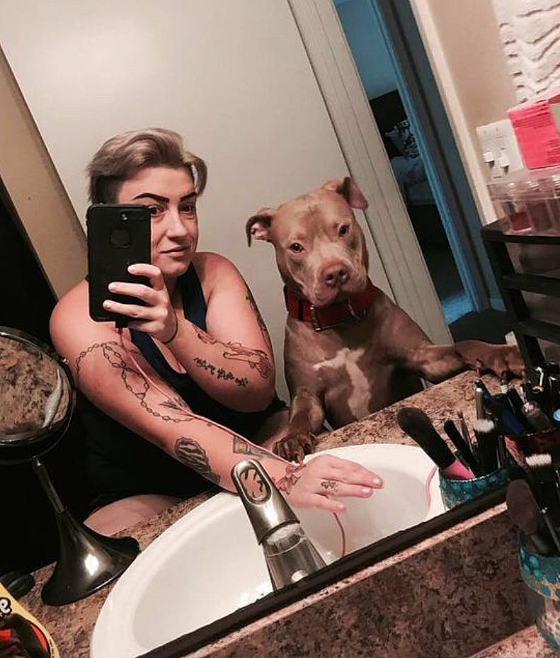 Buttercup joined the competition — help win amazing prizes! art, audio_equipment, carnivore, companion_dog, dog, dog_breed, drink, eyewear, flooring, fun, glass, metal, plumbing_fixture, room, selfie, sitting, snout, sporting_group, tableware, vision_care