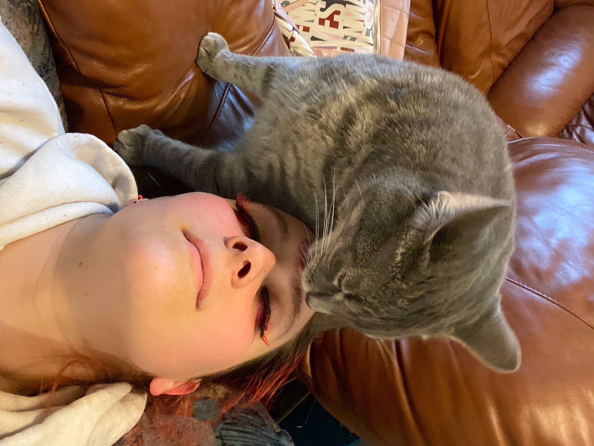 Smokey is registered to the contest to win money with this photo: carnivore, cat, child, comfort, couch, domestic_short_haired_cat, ear, eyelash, fawn, felidae, fur, gesture, happy, nap, small_to_medium_sized_cats, toddler, whiskers
