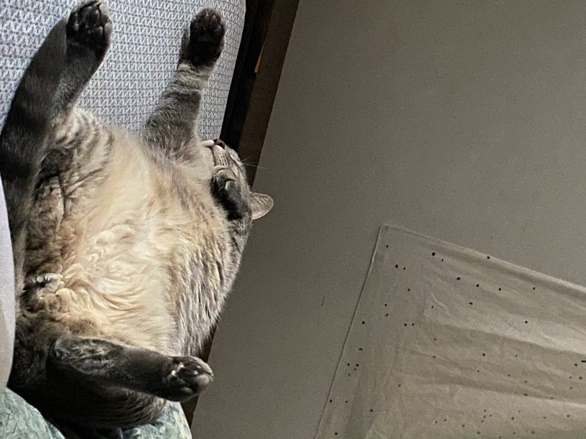 Smokey joined the competition — help win amazing prizes! black_rhinoceros, eye, grey, horn, indian_rhinoceros, livestock, monochrome, monochrome_photography, rhinoceros, snout, sumatran_rhinoceros, terrestrial_animal, visual_arts, white_rhinoceros, wildlife, wood, working_animal, wrinkle