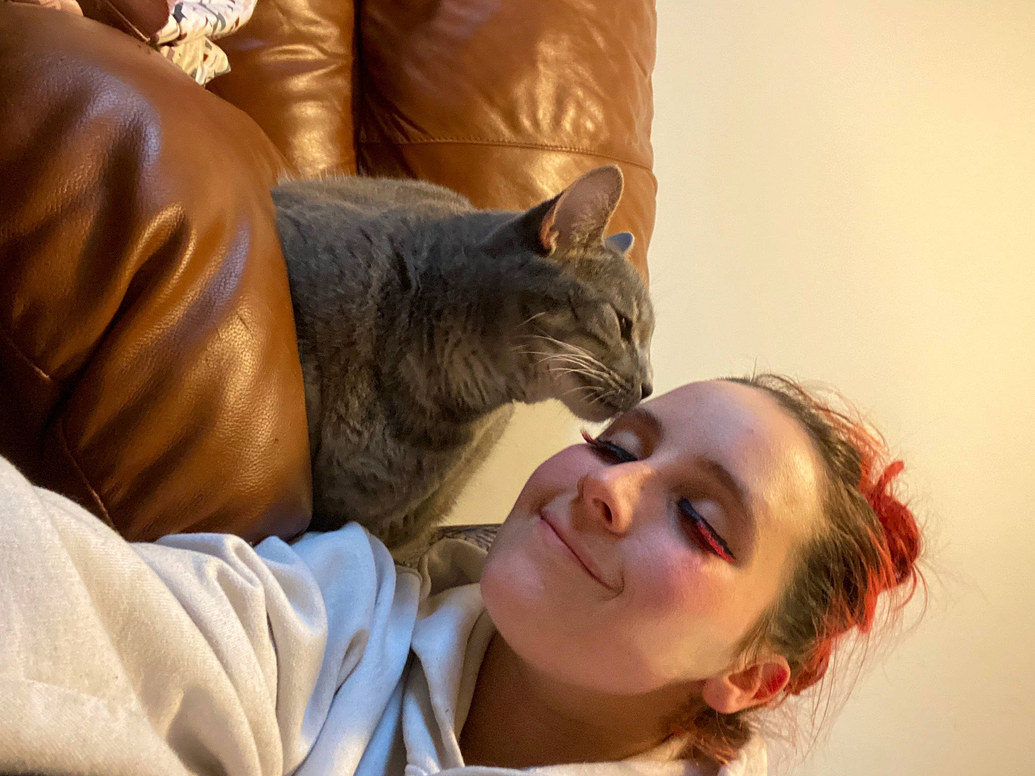 Smokey joined the competition — help win amazing prizes! bed, carnivore, cat, comfort, domestic_short_haired_cat, ear, eyelash, fawn, felidae, fur, gesture, happy, love, nap, room, sitting, small_to_medium_sized_cats, smile, whiskers