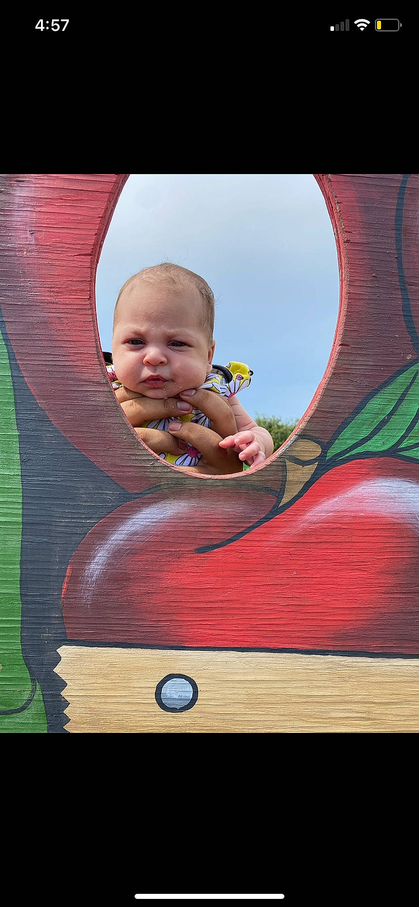 Jalani is registered to the contest to win money with this photo: baby, baby_toddler_clothing, cheek, chin, eye, facial_expression, fun, hairstyle, happy, human_body, iris, leaf, leisure, mouth, person, pink, public_space, skin, standing, toddler