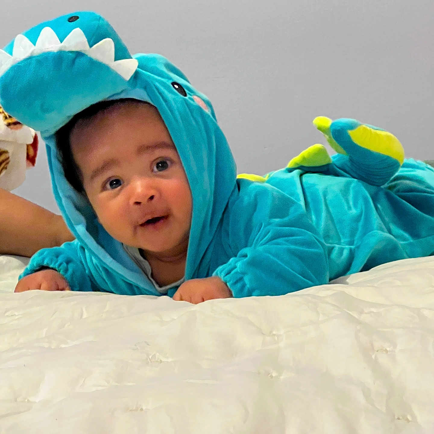 Niklaus is registered to the contest to win money with this photo: baby, child, dinosaur_costume, dinosaur_hood, turquoise, blue, smiling, happy, portrait, indoors, bed, bedding, blanket, white_bedding, lying_down, costume, hood, infant, face, playful