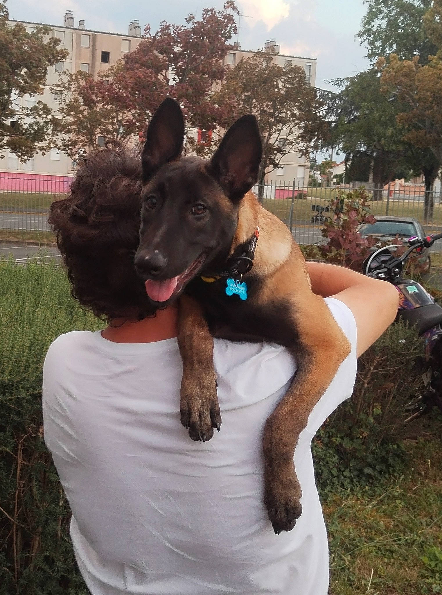 Usko