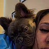 Chanel is registered to the contest to win money with this photo: dog, french_bulldog, person, face, close_up, indoor, cozy, snuggling, pet, companion, relaxed, blue_clothing, portrait, brown_fur, ears, napping, cute, animal, wall_art, intimate