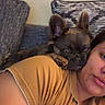 Chanel is registered to the contest to win money with this photo: dog, person, shoulder, couch, cushion, indoor, resting, brown_shirt, relaxed, pet, face, ear, fur, closeup, home, comfort, casual, portrait, companion, snuggle