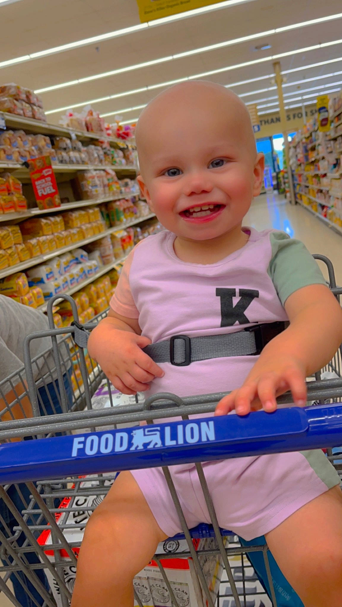 Kashtyn is registered to the contest to win money with this photo: baby, cart, child, convenience_store, customer, electric_blue, fun, grocery_store, happy, joy, person, product, retail, service, shelf, shopping, shopping_cart, shorts, smile, t_shirt