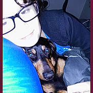 Jasper is registered to the contest to win money with this photo: person, dog, glasses, blanket, pillow, indoor, snuggle, flash, face, pet, comfort, bedroom, black, brown, close_up, cuddle, resting, casual, human, animal