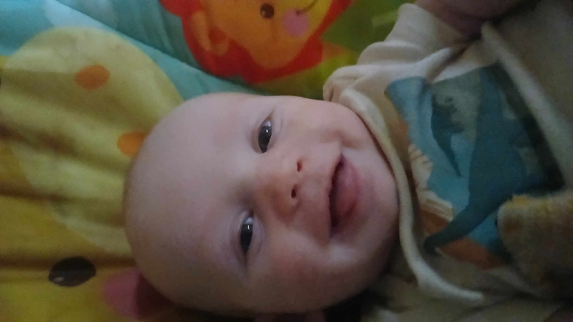 Emmett joined the competition — help win amazing prizes! baby, infant, smile, blanket, bedding, dinosaur, shirt, face, eyes, mouth, cheek, bald_head, cozy, colorful, toy_pattern, closeup, portrait, lying_down, cute, infant_clothing