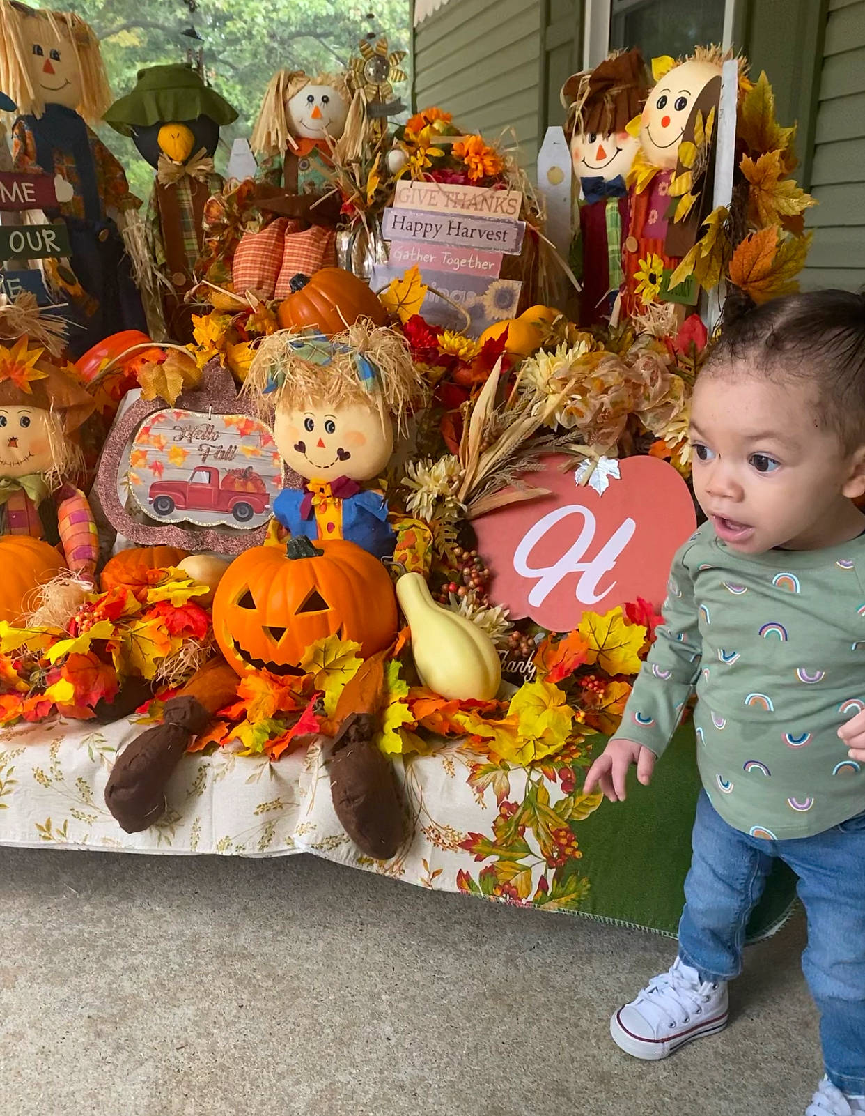 Mailani joined the competition — help win amazing prizes! baby, calabaza, child, event, festival, fiction, fun, gourd, holiday, local_food, orange, person, pumpkin, room, stuffed_toy, surprise, toddler, toy, tradition, tree