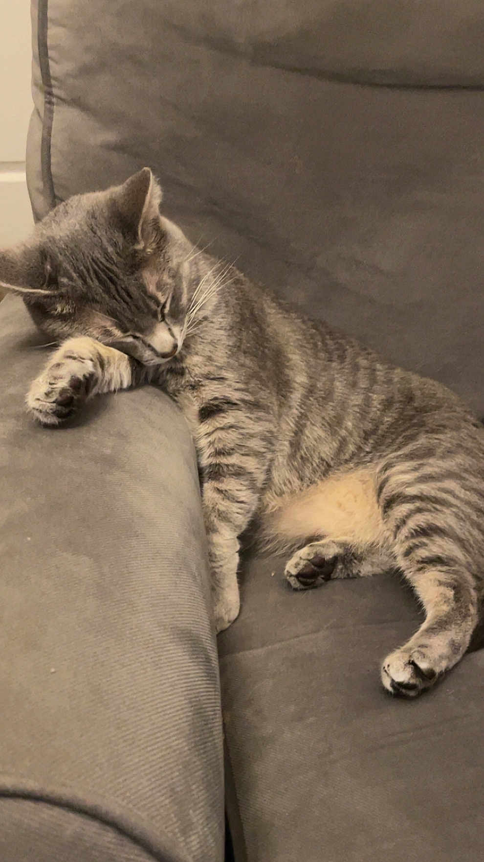 Loki