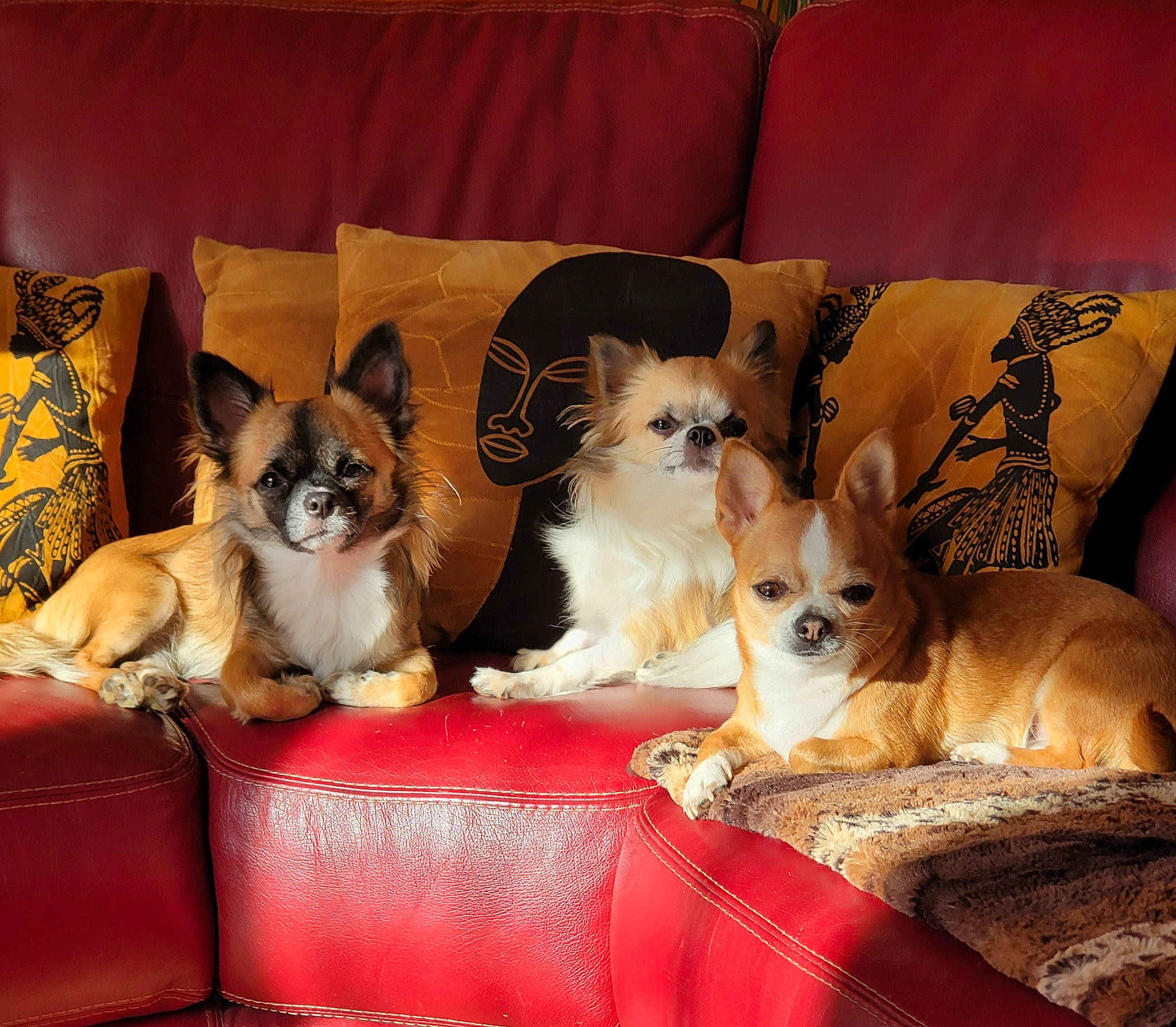 Tamia Topaze Ruby Ramses