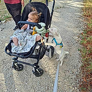 Boy participe au concours pour gagner de l'argent avec cette photo : adult, baby, blanket, child, countryside, dog, family, fields, gravel_path, harness, leash, outdoor, pet, portrait, stroller, stuffed_toy, sunny, village, walking, white_dog