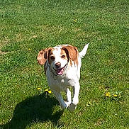 Daisy a rejoint le concours — aidez-le/la à gagner de superbes lots !