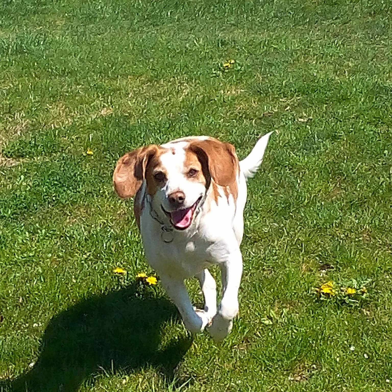 Daisy a rejoint le concours — aidez-le/la à gagner de superbes lots !