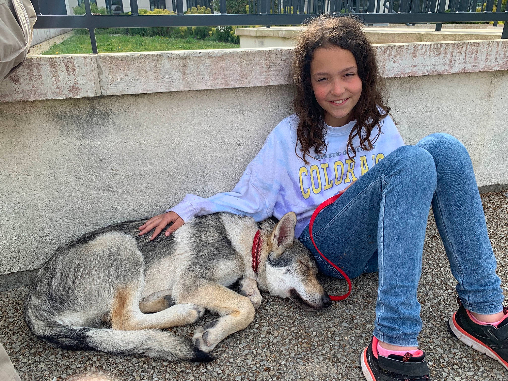 Tender Shadow participe au concours pour gagner de l'argent avec cette photo : canidae, carnivore, companion_dog, dog, dog_breed, fawn, fun, fur, grass, happy, human_leg, leg, leisure, plant, sitting, sled_dog, smile, sporting_group, street_fashion, terrestrial_animal