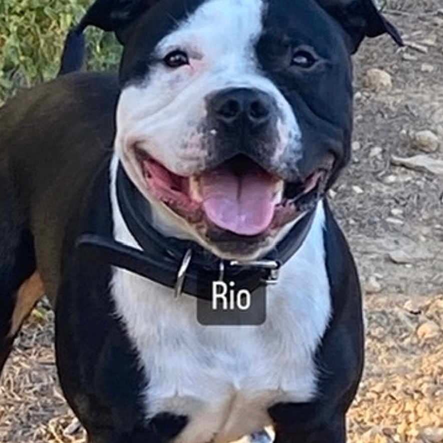 Rio