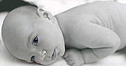 Rowan is registered to the contest to win money with this photo: baby, infant, child, portrait, lying_down, awake, wide_eyes, face, head, hands, soft_lighting, monochrome, close_up, indoors, blanket, white_background, peaceful, cute, photography, newborn
