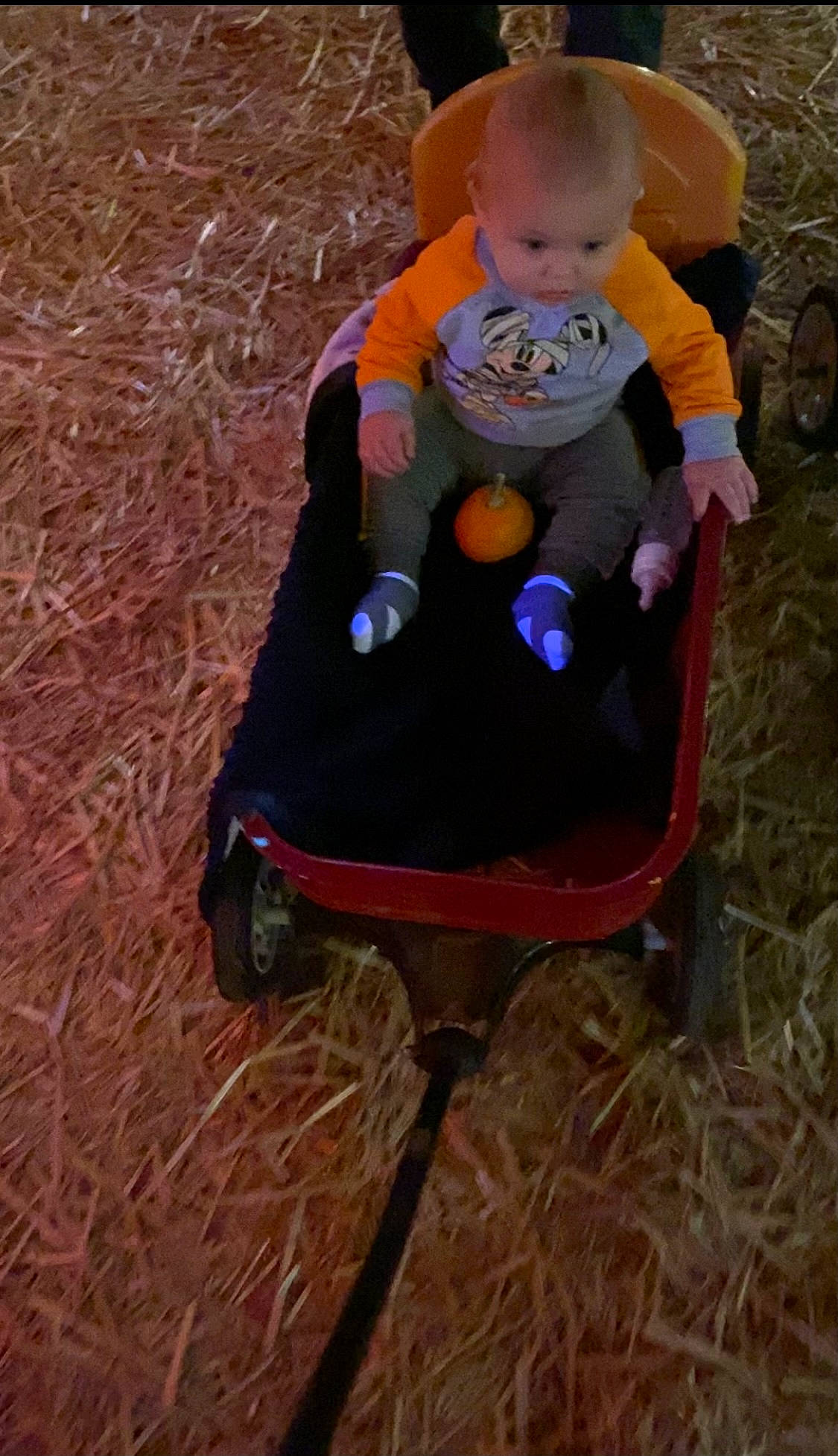 Cayson joined the competition — help win amazing prizes! baby, baby_products, baby_toddler_clothing, baby_toys, chair, child, clothing, electric_blue, fun, grass, head, helmet, person, personal_protective_equipment, pumpkin, recreation, sitting, tire, toddler, vehicle