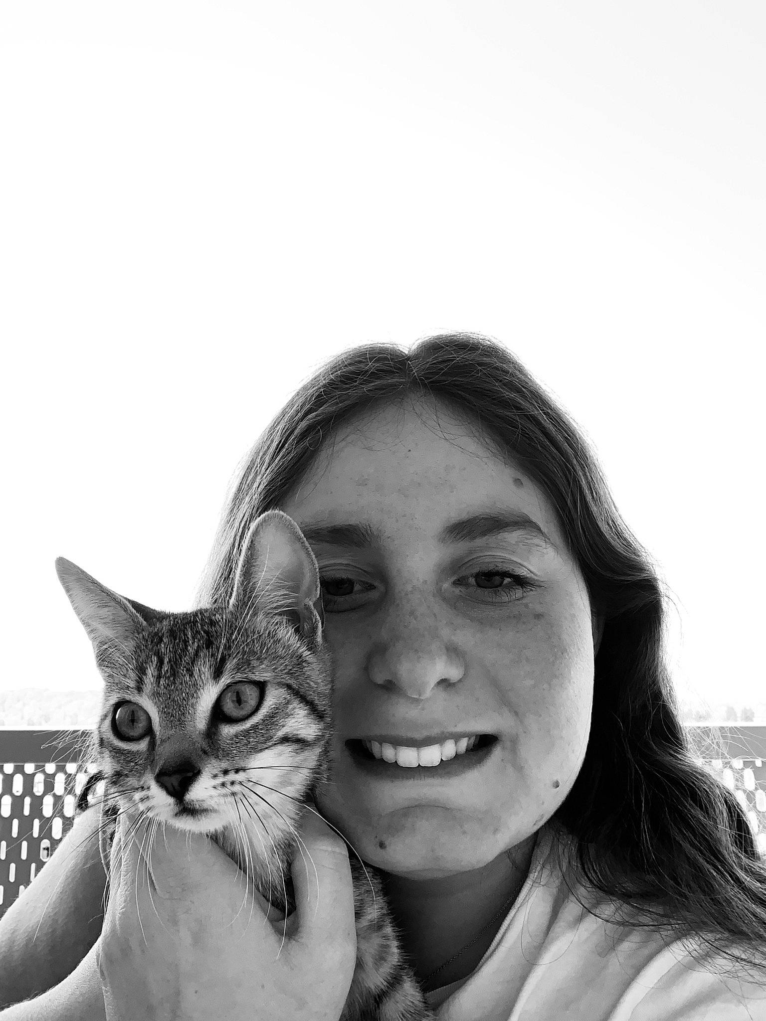 Prune participe au concours pour gagner de l'argent avec cette photo : aegean_cat, asian, black_and_white, carnivore, cat, domestic_short_haired_cat, european_shorthair, eye, felidae, fur, happy, monochrome, photography, portrait_photography, small_to_medium_sized_cats, smile, stock_photography, tabby_cat, whiskers