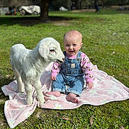 Savannah is registered to the contest to win money with this photo: baby, child, lamb, animal, grass, outdoor, blanket, denim, overalls, pink_sweater, smiling, nature, sunlight, cute, young, pet, greenery, portrait, sitting, happy