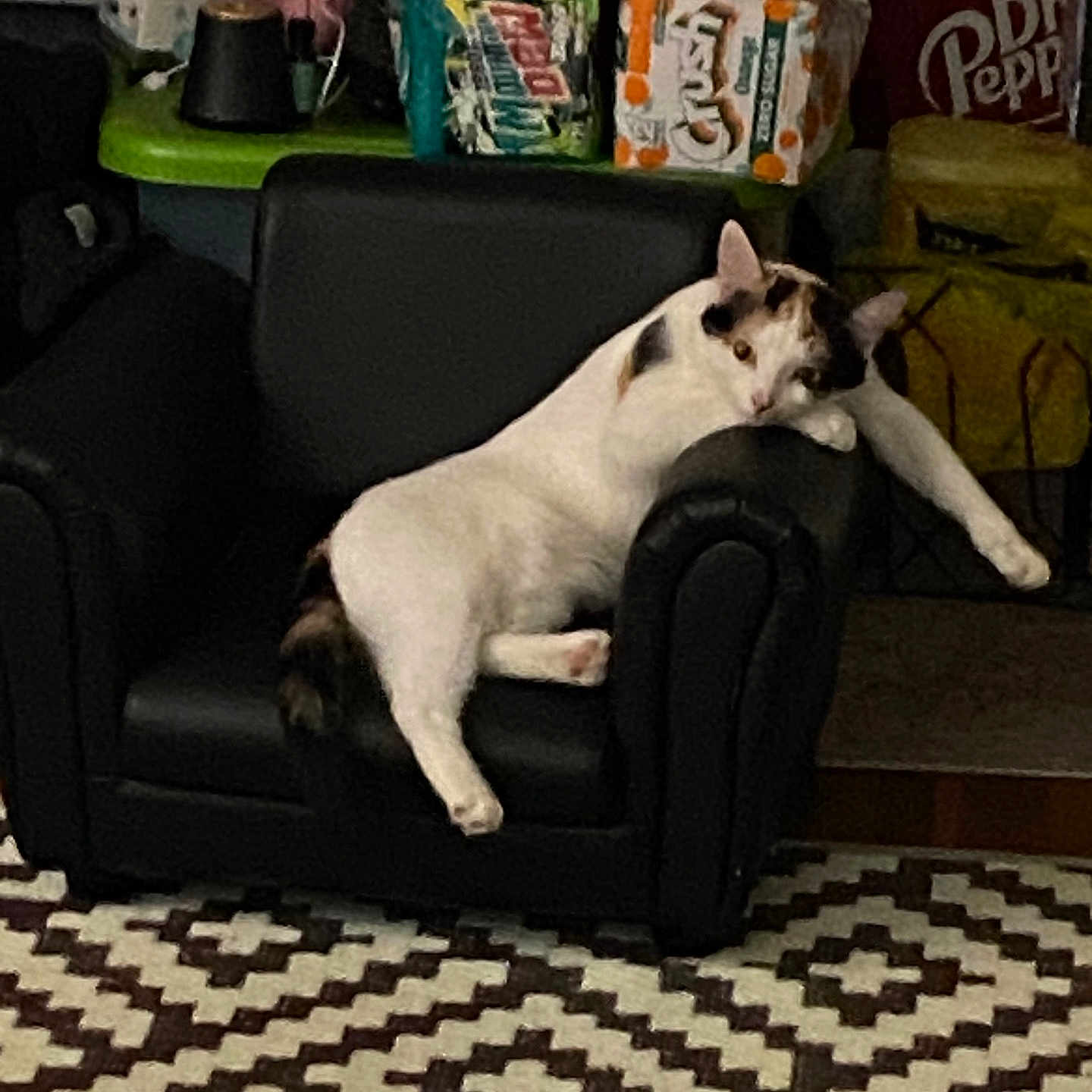 Bubbles is registered to the contest to win money with this photo: cat, armchair, black_furniture, relaxed, indoor, patterned_rug, household_items, box, clutter, pet, animal, resting, white_cat, calico, furniture, carpet, living_room, domestic, comfort, lazy