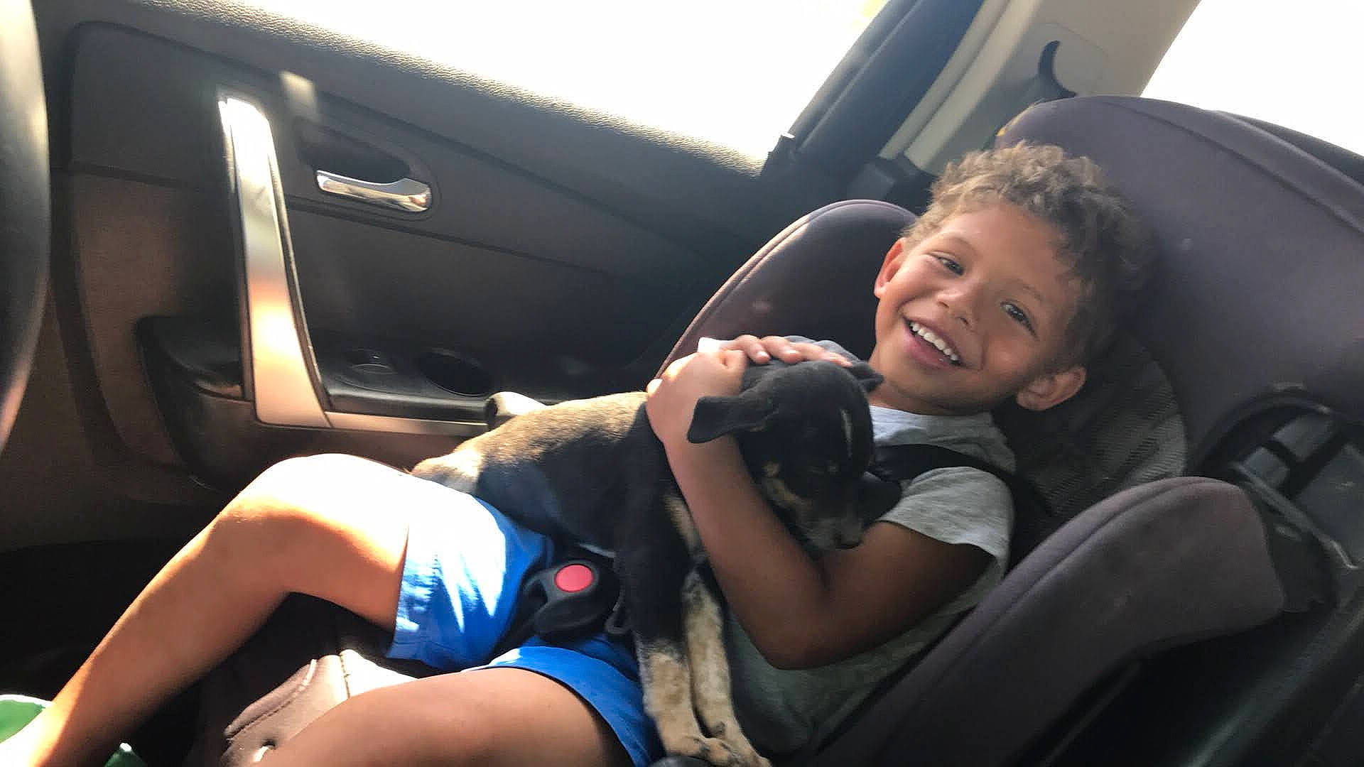 Darian joined the competition — help win amazing prizes! auto_part, car, car_seat, car_seat_cover, driving, family_car, head_restraint, joy, person, seat_belt, steering_part, steering_wheel, vehicle, vehicle_door