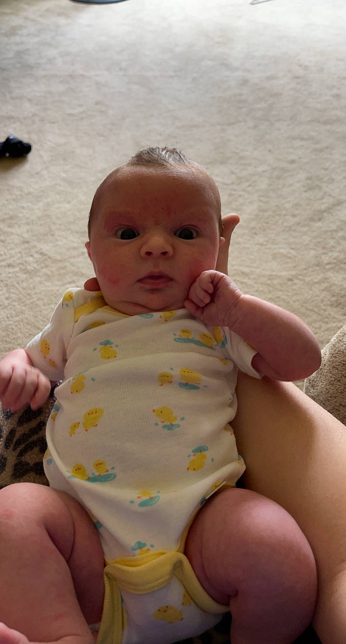 Sadie joined the competition — help win amazing prizes! baby, baby_toddler_clothing, cheek, chest, child, chin, eye, face, finger, happy, head, human, human_body, iris, person, skin, stomach, thigh, thumb, toddler