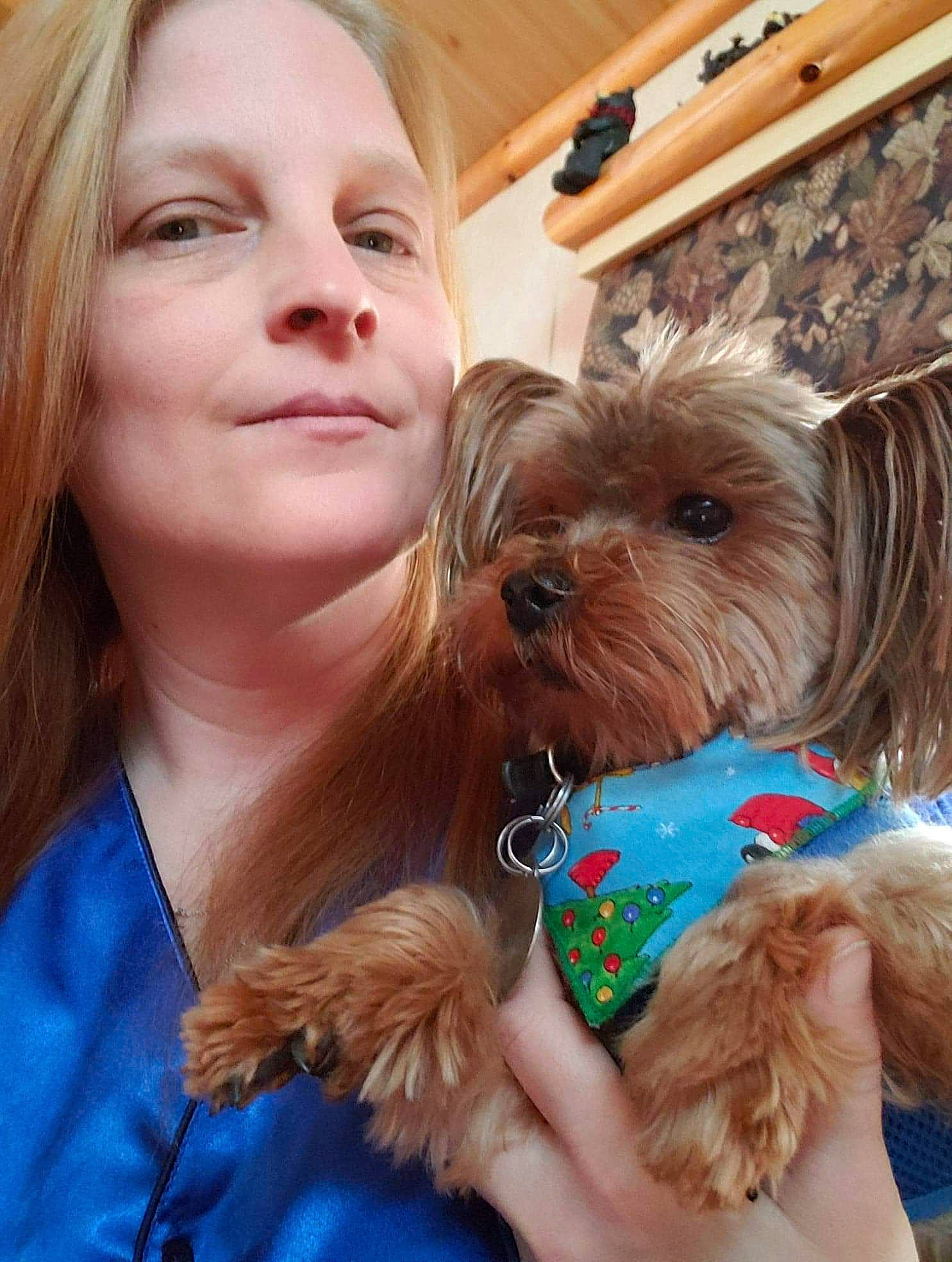 Max joined the competition — help win amazing prizes! bolonka, cairn_terrier, canidae, carnivore, cockapoo, companion_dog, dog, dog_breed, maltepoo, mammal, morkie, poodle_crossbreed, puppy, puppy_love, rare_breed_dog, schnoodle, terrier, toy_dog, yorkipoo, yorkshire_terrier