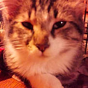 Gaspard participe au concours pour gagner de l'argent avec cette photo :
