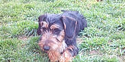 Aldo participe au concours pour gagner de l'argent avec cette photo :