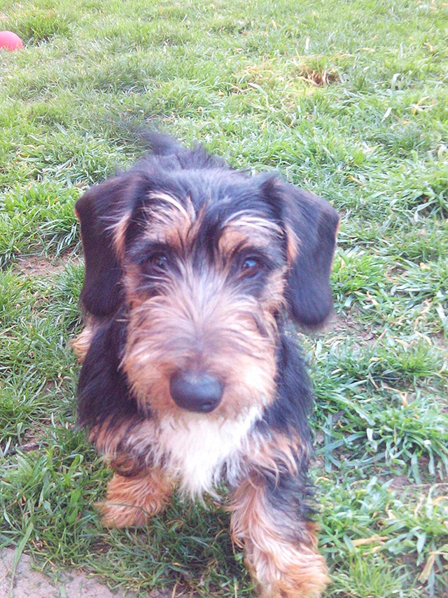 Aldo
