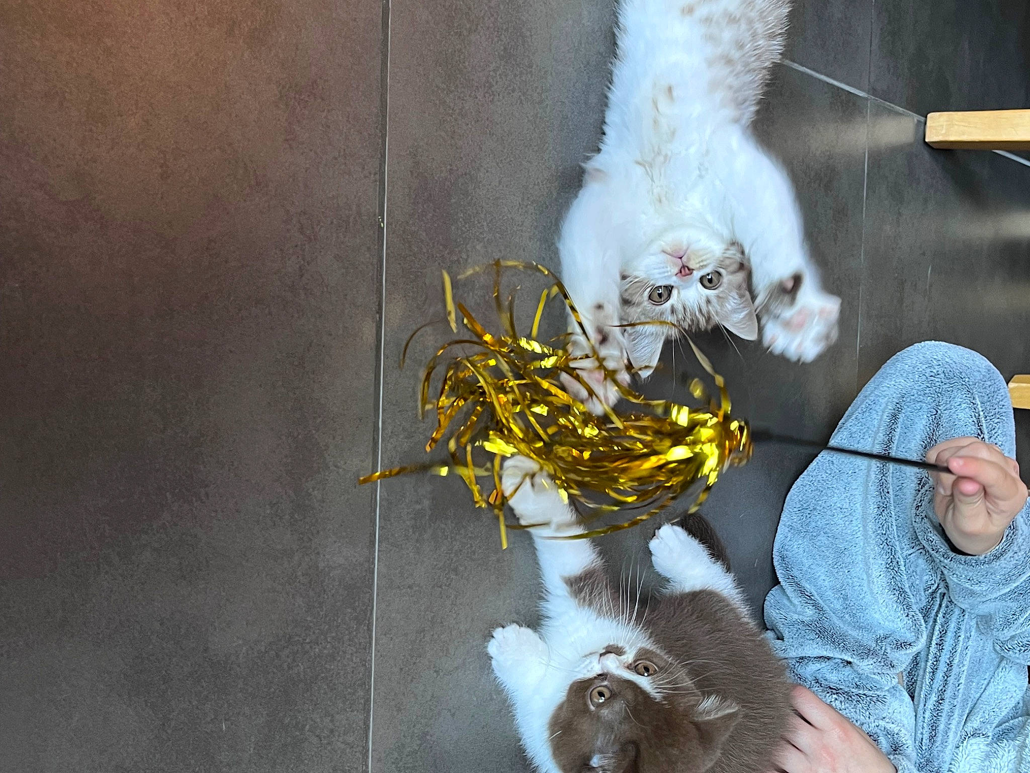 Uston participe au concours pour gagner de l'argent avec cette photo : art, artist, asphalt, blue_collar_worker, fur, gas, hat, personal_protective_equipment, smoke, visual_arts