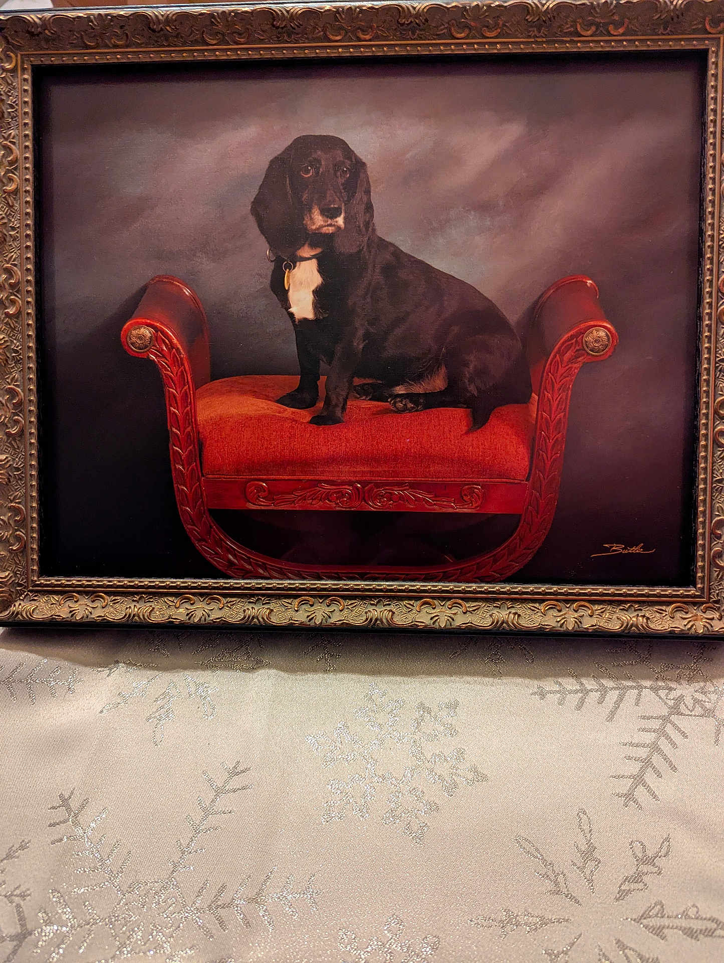 Buddy is registered to the contest to win money with this photo: dog, painting, frame, bench, red_cushion, black_dog, white_patch, ornate, carved_frame, artwork, tablecloth, snowflake_pattern, indoor, portrait, decor, classic, sitting, animal, pet, canvas